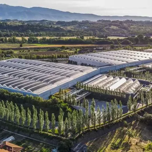 Prada Logistic Hub, Levanella (AR)