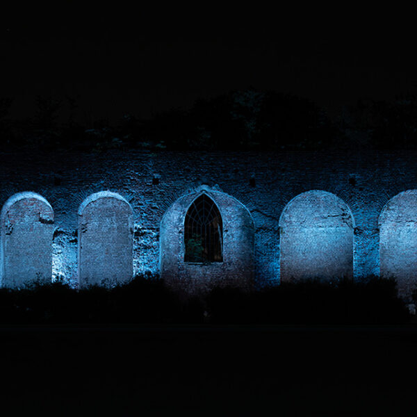 Pavia Castello_Albo (14)