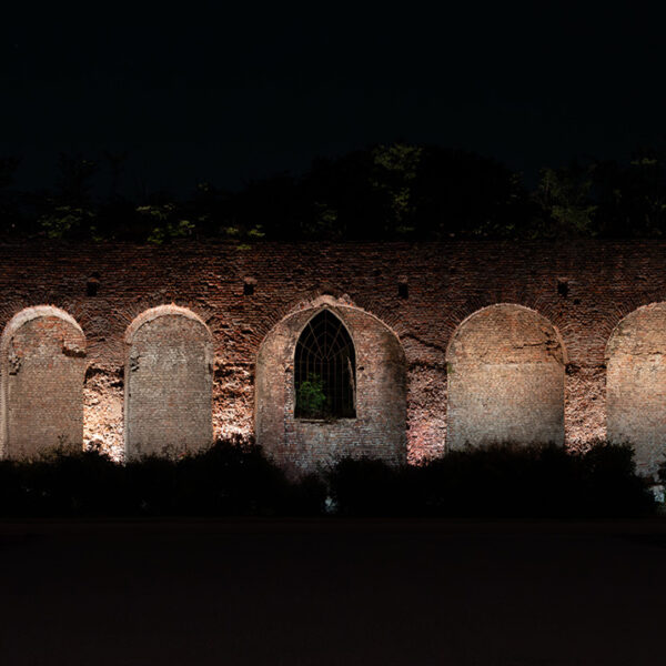 Pavia Castello_Albo (15)
