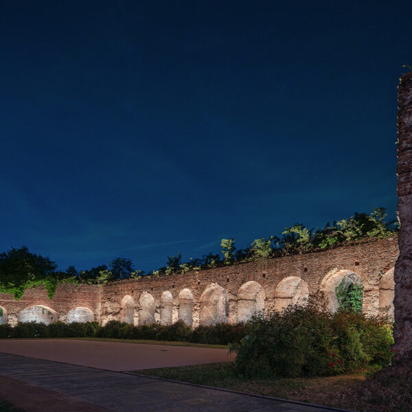 Pavia Castello_Albo (9)